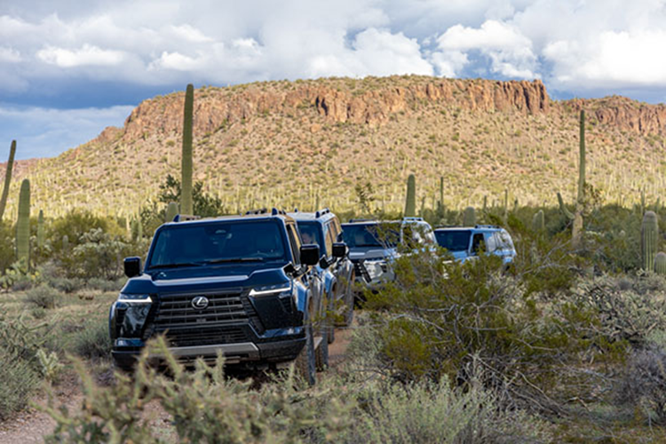 Các biến thể cao cấp thậm chí còn sang trọng hơn khi chúng bổ sung ghế da bán aniline có chức năng massage. GX cũng có thể được trang bị hàng ghế thứ ba gập điện, vô lăng bọc da có sưởi và hệ thống âm thanh cao cấp Mark Levinson 21 loa.