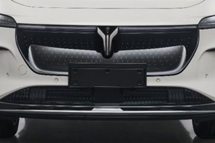 Hai biến thể mặt trước của Voyah Zhiyin cũng đã được công bố. Một biến thể được trang bị lưới tản nhiệt phía trước đóng phẳng trong khi biến thể còn lại có lưới tản nhiệt lõm phía trước. Đèn pha, cản trước và vị trí biển số đều được giữ nguyên.