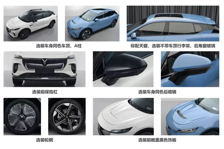 Chiếc xe có tên mã nội bộ là H37 và được đặt ở vị trí thấp hơn Voyah Free. Bản dịch theo nghĩa đen tiếng Trung của Zhiyin là người bạn thân thiết. Voyah Zhiyin có thể sẽ do Voyah và Huawei cùng chế tạo và sẽ được trang bị hệ thống Huawei Qiankun và công nghệ HarmonyOS.