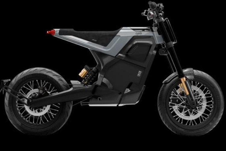 Xe gây ấn tượng với dáng vẻ nhỏ gọn, yên xe và đuôi xe liền mạch theo phong cách tương tự như các dòng Husqvarna Svartpilen và Vitpilen. DAB 1 Alpha là mẫu xe máy điện đặc biệt với pin có thể tháo rời. Vì thế người dùng có thể dễ dàng sửa chữa hoặc thay thế pin khi cần thiết.