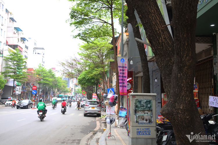 Tại phố Tôn Đức Thắng (đoạn từ nút giao Tôn Đức Thắng - Phan Văn Trị đến Tôn Đức Thắng - Cát Linh), hàng chục cây xanh ở hai bên đường bị đóng giá đỡ để treo cờ. Theo người dân sinh sống tại đây, các giá đỡ này được đóng vào cây từ lâu, có những giá đã ăn sâu vào thân cây.