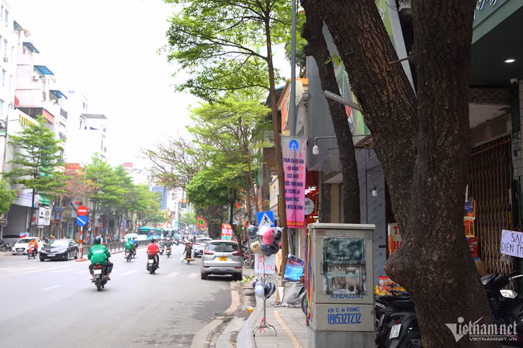 Tại phố Tôn Đức Thắng (đoạn từ nút giao Tôn Đức Thắng - Phan Văn Trị đến Tôn Đức Thắng - Cát Linh), hàng chục cây xanh ở hai bên đường bị đóng giá đỡ để treo cờ. Theo người dân sinh sống tại đây, các giá đỡ này được đóng vào cây từ lâu, có những giá đã ăn sâu vào thân cây.