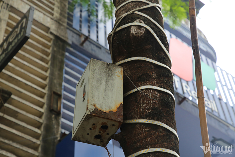 Tình trạng tương tự cũng xảy ra tại phố Thái Thịnh (quận Đống Đa), các cửa hàng không chỉ treo biển quảng cáo mà còn mắc cả dây đèn trang trí, lắp camera an ninh, tủ điện... lên thân cây.