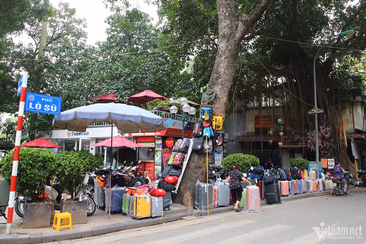 Đầu phố Lò Sũ (quận Hoàn Kiếm), một người phụ nữ đã đóng đinh vào thân cây làm móc treo, bày bán balô, túi xách. Theo người này, bà đã nhiều lần bị chính quyền địa phương nhắc nhở, thậm chí là xử phạt nhưng vì không còn kế sinh nhai nên vẫn phải làm vậy.