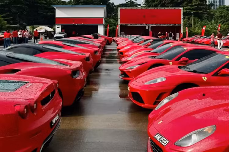 Cụ thể, đã có 297 chiếc siêu xe Ferrari xuất hiện tại sự kiện này, trong đó, có gần 15 xe thuộc bản giới hạn với điểm nhấn là 599 GTO, LaFerrari Aperta, 812 Competizione, F12tdf, cùng rất nhiều mẫu xe Ferrari hàng hiếm và đại trà khác góp mặt.