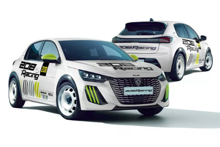 Bảng điều khiển đã được "tối ưu hóa" để tránh phản xạ và có màn hình đa chức năng, công tắc ngắt (bộ ngắt mạch) và các nút điều khiển tùy chỉnh trên bảng điều khiển trung tâm. Hơn nữa, kiến trúc điện tử dành riêng cho cuộc thi giúp các đội dễ dàng thu thập và phân tích dữ liệu lái xe. Để phát triển 208 Racing, Stellantis Motorsport đã sử dụng chuyên môn của mình từ Peugeot 208 Rally4, Citroen C3 Rally2 và 208 Racing Cup.