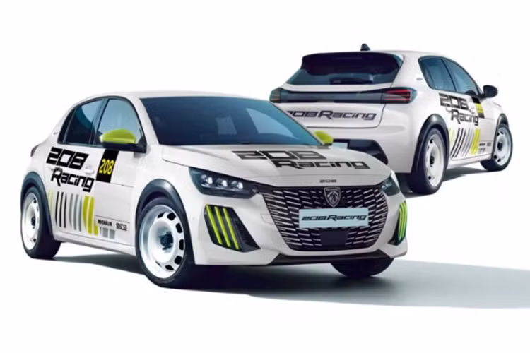 Bảng điều khiển đã được "tối ưu hóa" để tránh phản xạ và có màn hình đa chức năng, công tắc ngắt (bộ ngắt mạch) và các nút điều khiển tùy chỉnh trên bảng điều khiển trung tâm. Hơn nữa, kiến trúc điện tử dành riêng cho cuộc thi giúp các đội dễ dàng thu thập và phân tích dữ liệu lái xe. Để phát triển 208 Racing, Stellantis Motorsport đã sử dụng chuyên môn của mình từ Peugeot 208 Rally4, Citroen C3 Rally2 và 208 Racing Cup.