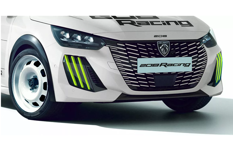 Chuỗi giải đấu mới này, do Liên đoàn ô tô thể thao Pháp (FFSA) tổ chức, sẽ là một phần của French Rally Cup bắt đầu từ năm 2025, với Stellantis là nhà sản xuất đầu tiên tham gia. Chiếc xe đua dựa trên Peugeot 208 đã được nâng cấp và bổ sung thêm một bộ vành thép trắng, điểm nhấn màu xanh lá cây chanh trên đèn DRL và lớp sơn ngoại thất lạ mắt trên thân xe màu trắng.