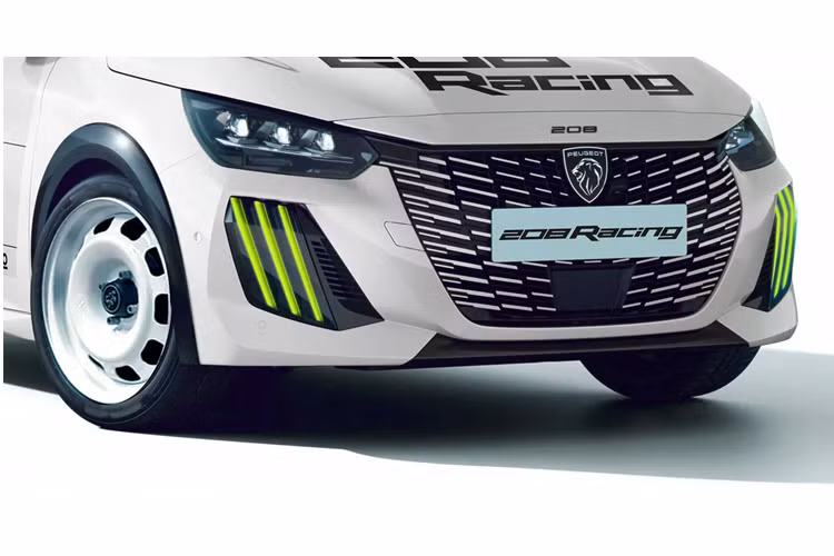 Chuỗi giải đấu mới này, do Liên đoàn ô tô thể thao Pháp (FFSA) tổ chức, sẽ là một phần của French Rally Cup bắt đầu từ năm 2025, với Stellantis là nhà sản xuất đầu tiên tham gia. Chiếc xe đua dựa trên Peugeot 208 đã được nâng cấp và bổ sung thêm một bộ vành thép trắng, điểm nhấn màu xanh lá cây chanh trên đèn DRL và lớp sơn ngoại thất lạ mắt trên thân xe màu trắng.