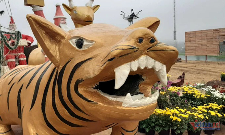 Trước đó, dịp Tết Nhâm Dần năm 2022, nơi đây cũng xuất hiện linh vật hổ nhưng lại gây xôn xao mạng xã hội vì trông giống như con lợn quay.