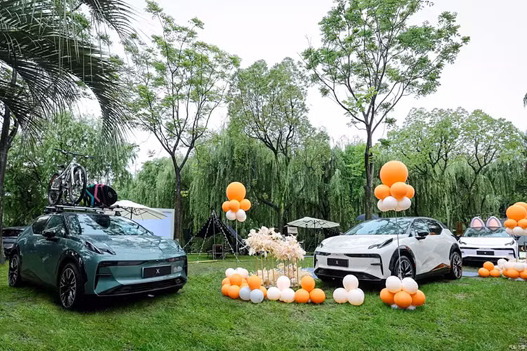 Tùy chọn pin thứ hai vẫn giữ nguyên. Đó là bộ pin NMC ternary 66 kWh. Biến thể này có hai loại ổ đĩa: RWD cho công suất 200 kW và 4WD cho công suất 315 kW (422 mã lực). Phạm vi hoạt động của Zeekr X với pin lớn hơn là 512 đến 560 km.