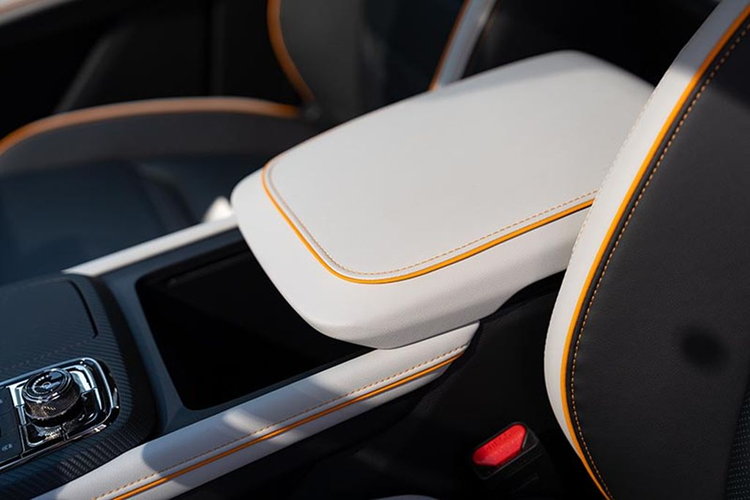 Ghế ngồi trên Ford Territory Sport 2024 được bọc da đục lỗ, các tấm ốp viền cửa và bảng điều khiển cũng được bọc da. Về mặt công nghệ và hệ truyền động, Ford Territory Sport 2024 được kế thừa từ các biến thể khác.