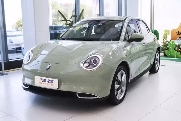 Trong “cuộc chiến giá cả 2024” do BYD phát động này, Dolphin Honor Edition sẽ trở thành một chiếc xe không thể bỏ qua.