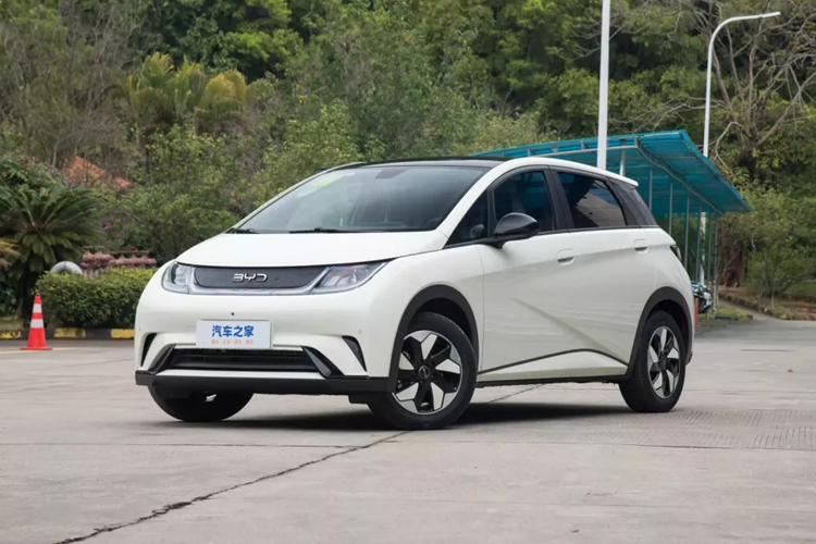 BYD Dolphin được định vị là mẫu xe cỡ nhỏ chạy điện thuần túy, mẫu xe 2024 không có nhiều điều chỉnh về ngoại hình, vẫn giữ nguyên thiết kế của mẫu 2023. Mặt trước áp dụng ý tưởng thiết kế "thẩm mỹ biển" quen thuộc, tạo cảm giác tròn trịa và sống động. hiệu ứng thị giác.