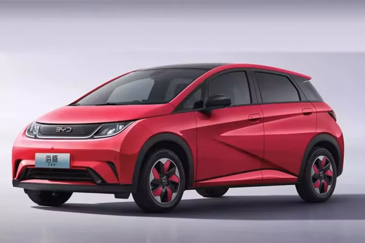 Ngoài ra, do thị trường ô tô chạy điện thuần túy nơi Dolphin tọa lạc cũng có thể chuyển hướng phần lớn các loại xe sử dụng nhiên liệu nhỏ truyền thống, điều này có nghĩa là Honda Fit, Toyota Yaris L Zhixuan, v.v. có thể sẽ là đối thủ quan trọng của Dolphin.