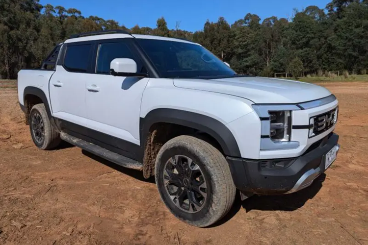 Dù ra mắt mẫu bán tải này tại Triển lãm Ô tô quốc tế Thái Lan năm nay nhưng hãng vẫn chưa công bố thời điểm mở bán, cũng giá bán BYD Shark 6 2025. Tại Campuchia, BYD Shark 6 được bán với giá từ 56.700 USD (tương đương khoảng 1,43 tỷ đồng).