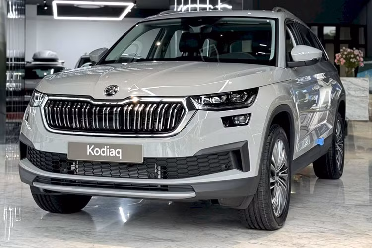 Bên cạnh đó, Skoda Việt Nam tặng thêm nhiều ưu đãi khác bao gồm 1 năm bảo dưỡng miễn phí, 1 năm bảo hiểm vật chất và trách nhiệm dân sự, gia hạn 5 năm bảo hành và bộ phụ kiện chính hãng.