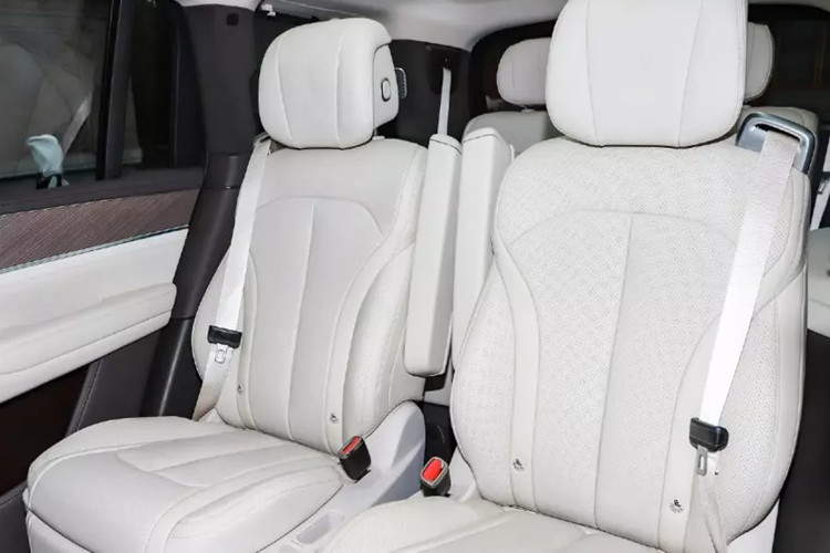 Biến thể PHEV của SUV Denza N9 sử dụng sự kết hợp của ba động cơ điện cho công suất 680 kW (911 mã lực) và động cơ tăng áp 2 lít cho công suất 152 kW (204 mã lực). Xe có bộ pin LFP 47 kWh cho phạm vi chạy điện 165 km (CLTC). Tốc độ tối đa của xe đạt 230 km/h. Denza N9 cũng sẽ có biến thể BEV với ba động cơ điện cho công suất 710 kW (951 mã lực).