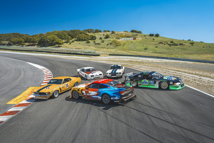 Chiếc xe đã giành chức vô địch SCCA B-Production năm 1965 do tay đua Jerry Titus cầm lái và giành được ba danh hiệu liên tiếp. Chiếc xe đua thứ ba là Shelby American Mustang 1966 và mẫu xe được xây dựng dựa trên thành công của GT350.