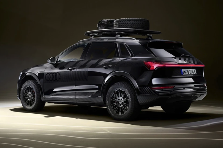 Tại Đức, giá xe Audi Q8 e-tron edition Dakar có mức khởi điểm khoảng 131.500 USD. Với phiên bản sở hữu bộ tem đua, con số này hơn 142.500 USD. Khách hàng có thể bắt đầu đặt và lên cấu hình xe từ quý I/2024.