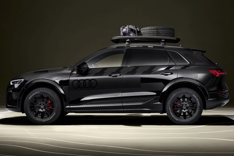 Xe có 3 lựa chọn màu sơn ngoại thất là be Siam Beige, đen Mythos Black và xám Magnetic Gray. Trong tổng số 1.000 chiếc Q8 e-tron edition Dakar được sản xuất, chỉ có 99 chiếc sở hữu bộ tem tương tự mẫu RS Q e-tron với màu sơn đen Mythos Black. Số thứ tự mỗi xe được đặt tại cột D.