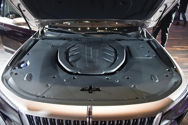 Thương hiệu Hồng Kỳ đã bắt đầu xuất hiện tại Việt Nam từ năm 2022 với 2 mẫu xe H9 và E-HS9. Vào hồi tháng 1/2024, lại có thêm một mẫu xe Hồng Kỳ nữa được giới thiệu tại Việt Nam là HS5.