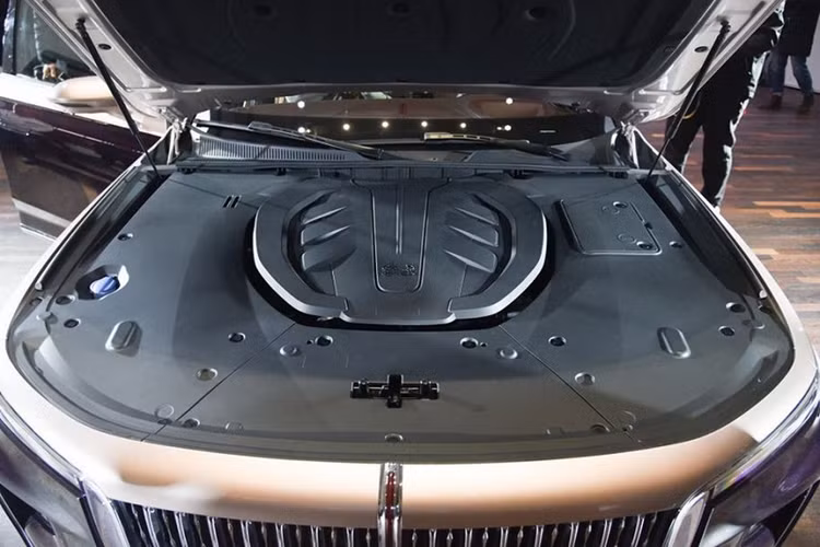 Thương hiệu Hồng Kỳ đã bắt đầu xuất hiện tại Việt Nam từ năm 2022 với 2 mẫu xe H9 và E-HS9. Vào hồi tháng 1/2024, lại có thêm một mẫu xe Hồng Kỳ nữa được giới thiệu tại Việt Nam là HS5.