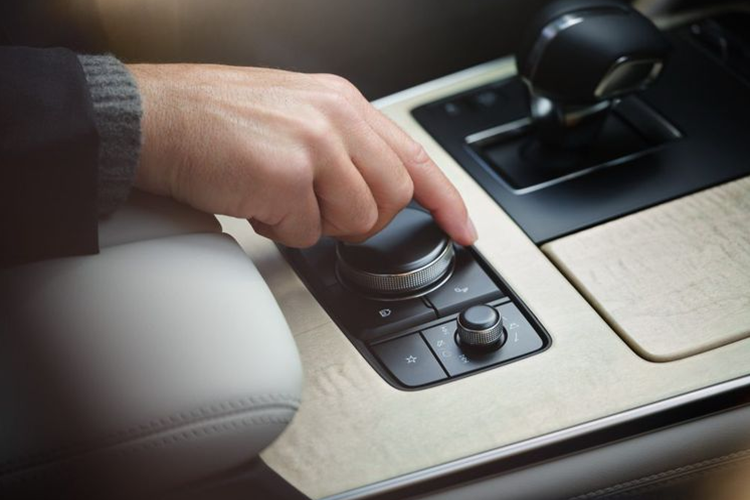 Ngoài ra, chúng ta cũng có thể nhận thấy đường viền mạ crôm dày xung quanh cửa sổ phía sau, mặc dù đèn hậu trông có vẻ tương tự.