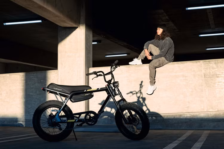 Ngoài ra, Vinfast VF DrgnFly của Việt Nam có bộ khung dẹt thay cho khung ống. Đây là thiết kế độc đáo đòi hỏi kỹ thuật chế tác phức tạp nhằm tạo điểm nhấn cho sản phẩm, nhưng vẫn duy trì sự cân bằng tối ưu giữa trọng lượng và độ bền.