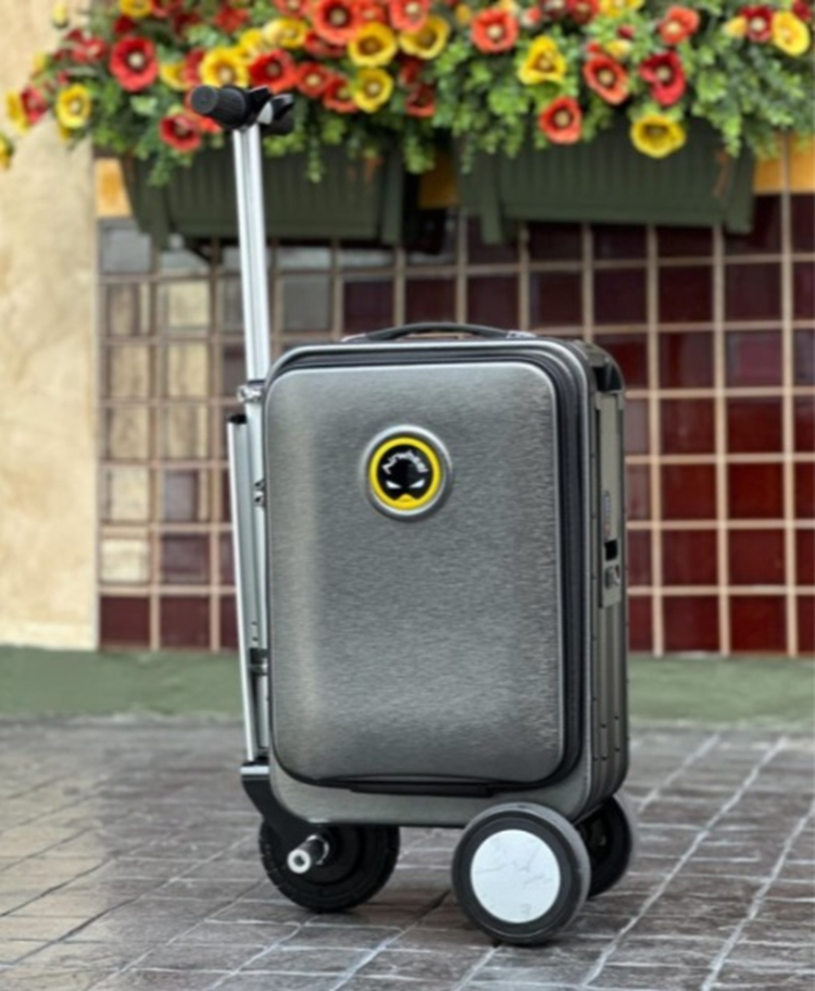 Su dung vali dien khong bang lai, du hoc sinh Trung Quoc bi tuyt coi-Hinh-2