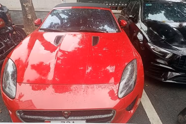 Đáng chú ý, số ôtô của Mr Pips bị thu giữ trong đường dây này có những chiếc xe siêu sang, siêu xe đắt đỏ như: Rolls-Royce Cullinan, Mercedes-AMG G 63, Lamborghini Urus, Jaguar F-Type, Porsche Taycan, Porsche 911, Nissan G-TR R35 hay Ferrari Roma... Giá trị của những chiếc siêu xe và xe sang này dao động từ khoảng gần 10 tỷ cho đến 40 tỷ đồng.