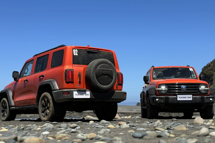 Tham khảo tại Thái Lan, giá xe GWM Tank 300 được phân phối với 2 phiên bản Pro và Ultra bán ra từ 1,649 và 1,799 triệu baht (tương đương 1,116-1,218 tỷ đồng). Để so sánh, Haval H6 có giá 1,149 - 1,249 triệu bath (khoảng 824 - 895 triệu đồng) tại Thái Lan, trong khi tại Việt Nam là 1,096 tỷ đồng.