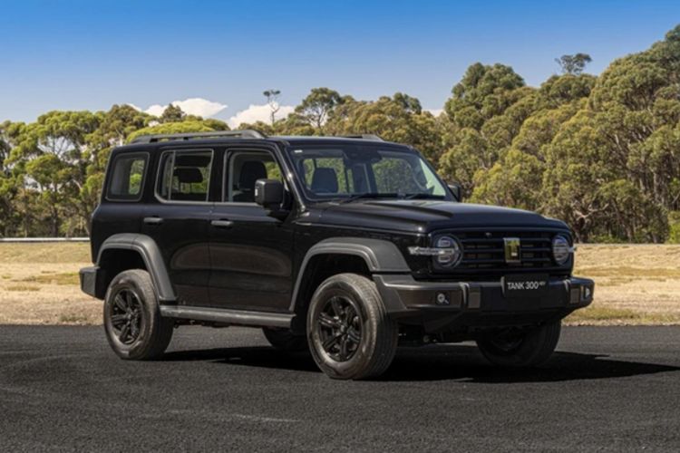 Tank 300 thuộc phân khúc SUV/CUV hạng C với chiều dài 4.760 mm, chiều rộng 1.930 mm và chiều cao 1.903 mm, đi kèm chiều dài cơ sở 2.750 mm. Đặc biệt, mẫu SUV này có thể di chuyển tốt trên nhiều loại địa hình khác nhau nhờ khoảng sáng gầm lên tới 225 mm và khả năng lội nước tối đa 700 mm.