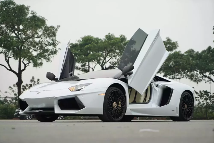 Dòng siêu xe Lamborghini Aventador đã trải qua hàng chục phiên bản, trong đó, có gần 20 xe đã được nhập về Việt Nam, theo diện chính hãng lẫn tư nhân. Số này, bản tiêu chuẩn chiếm đa số với coupe và mui trần, ngoài ra còn có Lamborghini Aventador S, Lamborghini Aventador SV, Lamborghini Aventador SVJ...