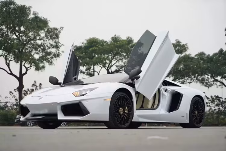 Dòng siêu xe Lamborghini Aventador đã trải qua hàng chục phiên bản, trong đó, có gần 20 xe đã được nhập về Việt Nam, theo diện chính hãng lẫn tư nhân. Số này, bản tiêu chuẩn chiếm đa số với coupe và mui trần, ngoài ra còn có Lamborghini Aventador S, Lamborghini Aventador SV, Lamborghini Aventador SVJ...