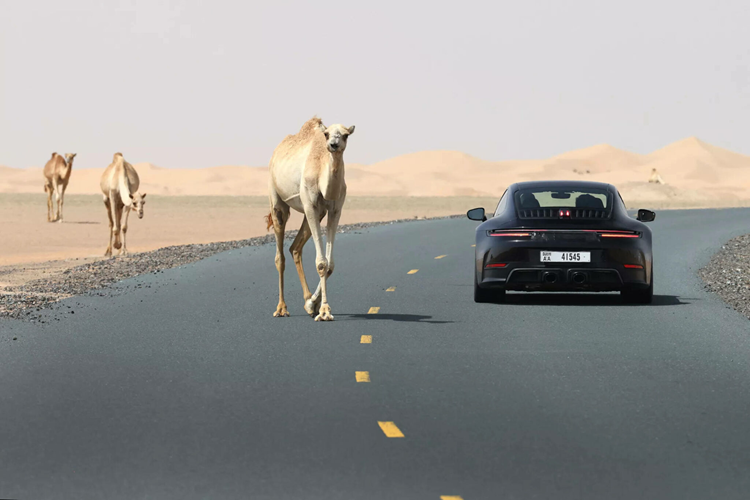 Porsche 911 đời mới 2025 sẽ được ra mắt trực tuyến trên kênh YouTube của Porsche, phát sóng vào lúc 13:00 UTC (tương đương 20:00 giờ Việt Nam) ngày 28/5/2024.