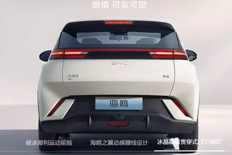 Các phiên bản Vitality và Freedom được trang bị bộ pin 30,08 kWh, cung cấp phạm vi CLTC là 305 km.