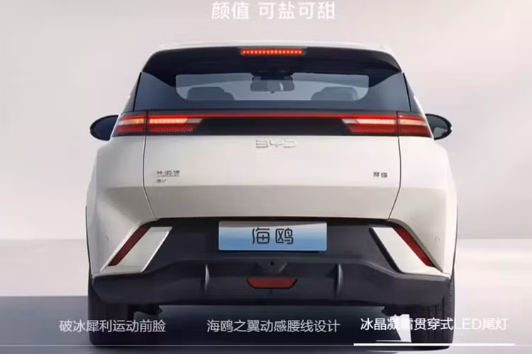 Các phiên bản Vitality và Freedom được trang bị bộ pin 30,08 kWh, cung cấp phạm vi CLTC là 305 km.