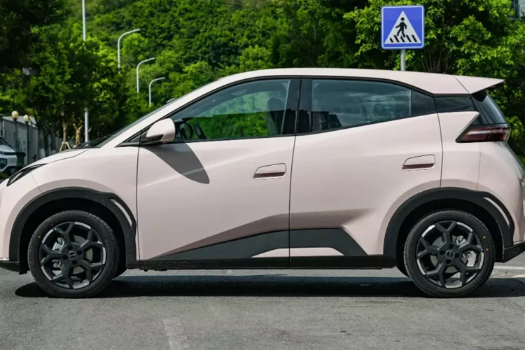 Sức mạnh tiếp tục đến từ động cơ đồng bộ nam châm vĩnh cửu với công suất cực đại 55 kW (74 mã lực) và mô-men xoắn cực đại 135 Nm, kết hợp với pin BYD Blade.