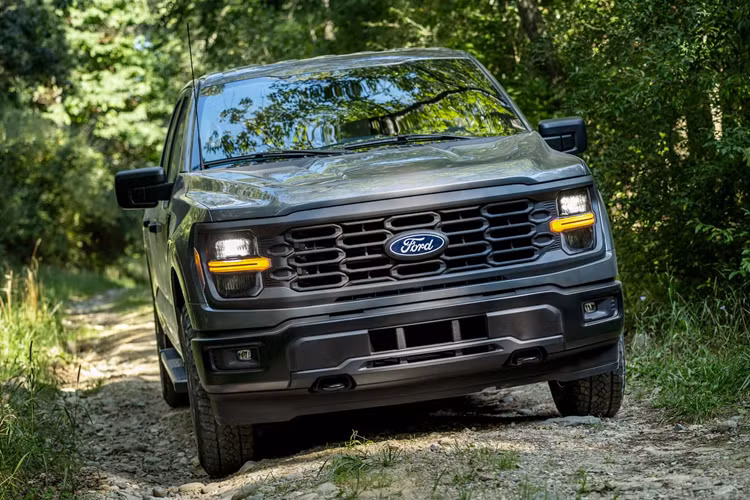 Levine nói: "Chúng tôi đã bắt đầu vận chuyển những chiếc bán tải Ford F-150 2024 mới tới các đại lý từ tuần trước. Chúng tôi sẽ tiếp tục tăng lượng xe trong các lô hàng khi chúng tôi tiếp tục kiểm tra chất lượng để đảm bảo chúng đáp ứng yêu cầu chất lượng từ khách hàng.