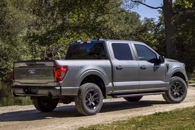 Paul Waatti từ AutoPacific chia sẻ với Auto News: "Có những lần ra mắt quan trọng hơn so với những lần khác, và không có chiếc xe nào quan trọng hơn đối với lợi nhuận và danh tiếng của Ford hơn chiếc xe mang huy hiệu F-Series - và đã có hai mẫu F-Series gặp sự cố gần đây."