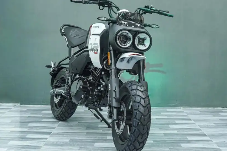 Tại Việt Nam, giá xe CFMoto Papio XO2 125 bán ra lên tới 78 triệu đồng. Dù có thiết kế cá tính hấp dẫn nhưng với giá đắt tương đương những mẫu xe máy cao cấp trên thị trường hiện tại, mẫu Minibike Trung Quốc CFMoto Papio XO2 125 có thể sẽ gặp khó khi tiếp cận khách Việt.