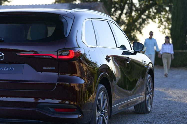 Sức mạnh từ khối động cơ này cho phép xe tăng tốc từ 0-100 km/h trong 6,8 giây. Bộ pin 17,8 kWh được tích hợp trong hệ thống PHEV cung cấp phạm vi hoạt động thuần điện lên tới 60 km.