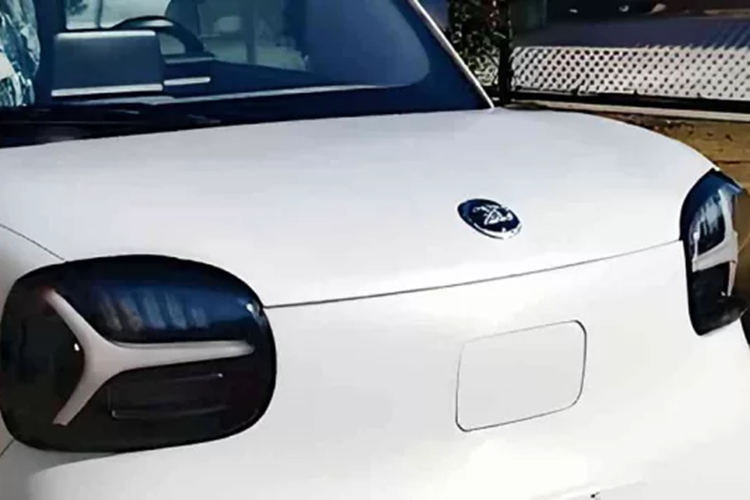 Thay vào đó, chiếc xe sẽ đi theo lộ trình của Wuling Hongguang Mini EV Macaron, đối thủ chính, khi cung cấp các màu phấn bao gồm hồng, hoa cà, bạc hà và cát.