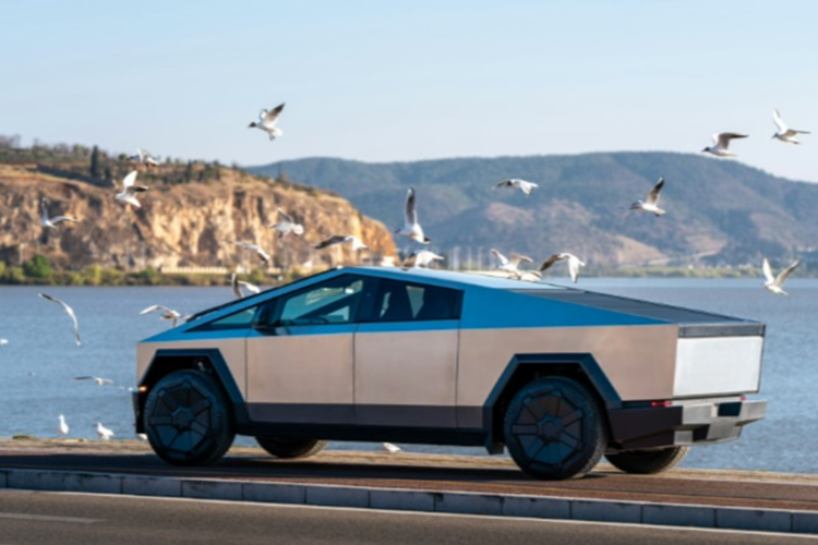 Chu tich Tesla keu goi co dong can nhac ve goi thu nhap 56 ty USD cua CEO Elon Musk-Hinh-3