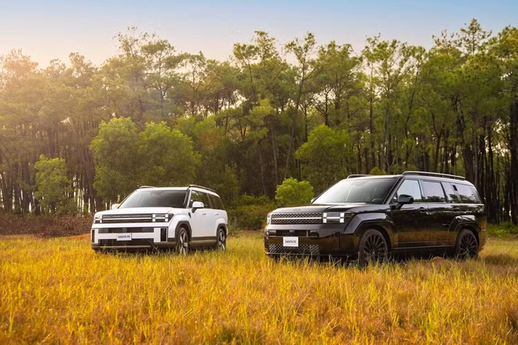 Hyundai SantaFe may dau doi cu rao ban lai dat hon xe moi-Hinh-2