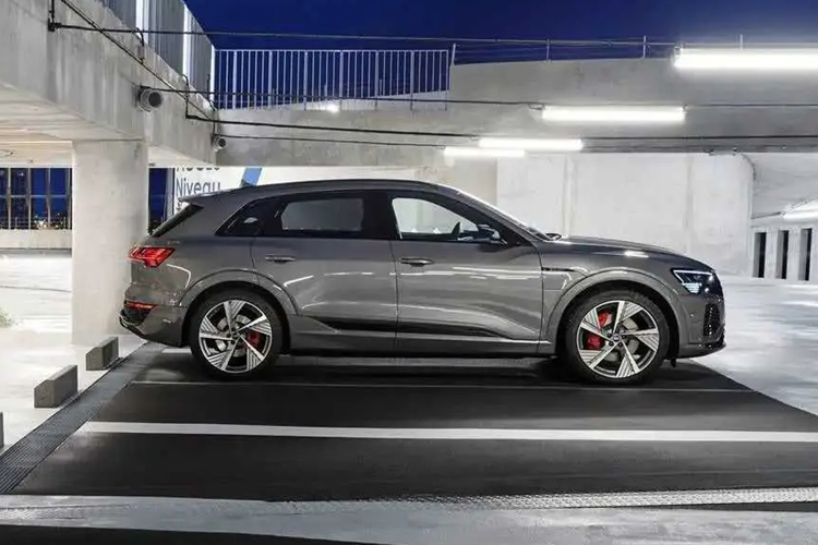 Tại Việt Nam, Audi Q8 e-tron được trang bị động cơ điện công suất 402 mã lực, mô-men xoắn 664 Nm, kết hợp hệ dẫn động 4 bánh Quattro. Theo công bố, phiên bản này có quãng đường di chuyển tối đa 600 km sau mỗi lần sạc đầy.