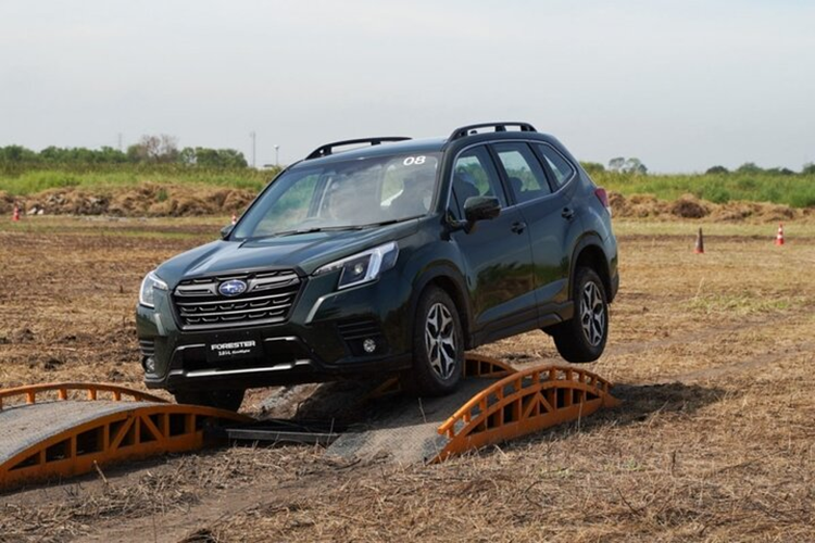Mức giá xe Subaru Forester tại Việt Nam hiện dao động từ 969 triệu đến 1,199 tỷ đồng. Mẫu xe này được nhập khẩu nguyên chiếc từ Thái Lan nên không được hưởng chính sách ưu đãi lệ phí trước bạ của Chính phủ dự kiến có hiệu lực từ tháng 8/2024.