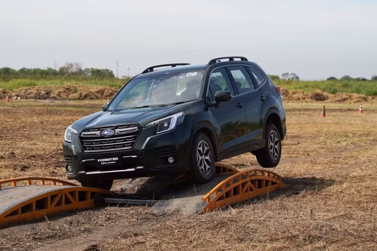 Mức giá xe Subaru Forester tại Việt Nam hiện dao động từ 969 triệu đến 1,199 tỷ đồng. Mẫu xe này được nhập khẩu nguyên chiếc từ Thái Lan nên không được hưởng chính sách ưu đãi lệ phí trước bạ của Chính phủ dự kiến có hiệu lực từ tháng 8/2024.