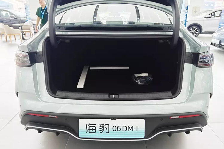 Seal 06 tăng tốc nhanh chóng khi vượt, từ vị trí xuất phát lên 100 km/h trong 7,5 giây dù cân nặng 1.775 kg. Hệ thống treo trước MacPherson của Seal 06 và hệ thống treo sau bốn liên kết mang lại cảm giác lái thoải mái.